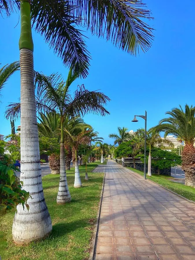 Victoria Court Modern 1 Bed Apartment Los Cristianos